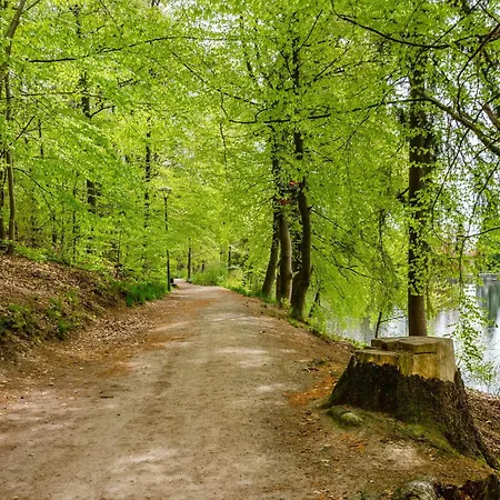 Harztastisch Im Harz *