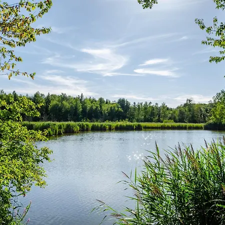 Harztastisch Im Harz Bad Sachsa